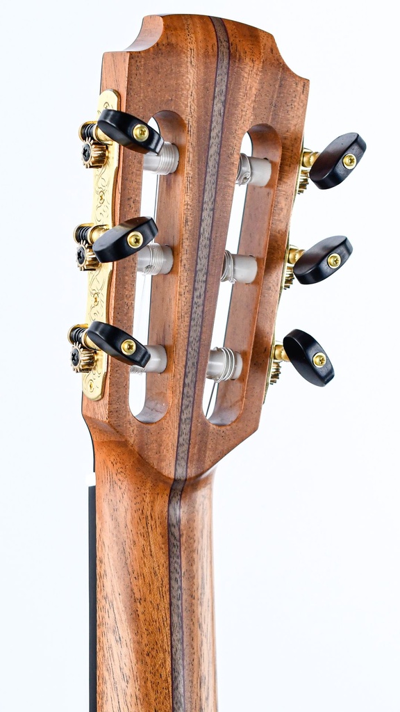 Lowden S32J Jazz Nylon Crossover | The Fellowship of Acoustics